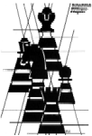 Schachklub Döttingen-Klingnau und Umgebung Logo